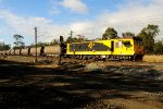 Coal dust and container in Australia